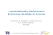 Cross-Polarization Modulation in Polarization-Multiplexed Systems