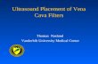 Ultrasound Placement of Vena Cava Filters