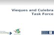 Vieques and Culebra Task Force