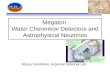Megaton  Water Cherenkov Detectors and Astrophysical Neutrinos
