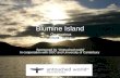 Blumine Island Oruawairua (31.03.08 – 04.04.08)