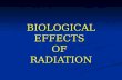 BIOLOGICAL EFFECTS  OF  RADIATION