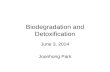 Biodegradation and Detoxification
