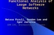 Functional Analysis of Large Software Networks