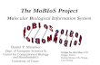 The MoBIoS Project Mo lecular  B iological  I nformation  S ystem
