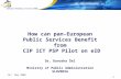 How can pan-European Public Services Benefit from  CIP ICT PSP Pilot on eID Dr. Davorka Šel
