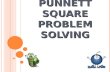 Punnett  Square Problem Solving