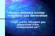 Parker  domnick  hunter  Industrial Gas Generation