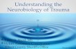 Understanding the Neurobiology of Trauma