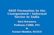 Skill Formation in the Unorganised / Informal Sector in India