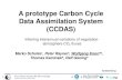 A prototype Carbon Cycle Data Assimilation System (CCDAS)