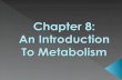 Chapter 8:                     An Introduction To Metabolism