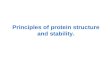 Principles of protein structure and stability.
