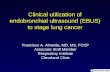 Clinical utilization of endobronchial ultrasound (EBUS) to stage lung cancer