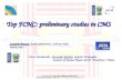 Top FCNC: preliminary studies in CMS