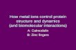 How metal ions control protein structure and dynamics (and biomolecular interactions)