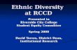 Ethnic Diversity  at RCCD
