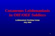 Cutaneous Leishmaniasis in OIF/OEF Soldiers