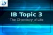 IB Topic 3
