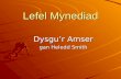 Lefel Mynediad