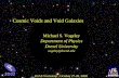 Cosmic Voids and Void Galaxies