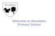 Welcome to Woodslee Primary School
