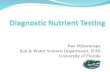 Diagnostic Nutrient Testing
