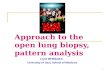 Approach to the open lung biopsy,  pattern analysis