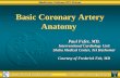 Basic Coronary Artery Anatomy