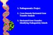 Pathogenomics Project Cross-Domain Horizontal Gene Transfer Analysis