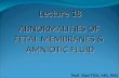 Lecture 18 ABNORMALITIES OF  FETAL MEMBRANES &  AMNIOTIC FLUID