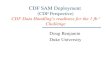 CDF SAM Deployment  (CDF Perspective) CDF Data Handling’s readiness for the 1 fb -1  Challenge