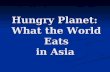 Hungry Planet:  What the World Eats in Asia