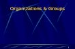 Organizations & Groups