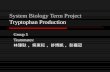 System Biology Term Project Tryptophan Production