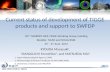 Current status of development of TIGGE products and support to SWFDP