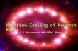 Neutrino Cooling of Neutron Stars