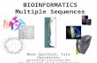 BIOINFORMATICS Multiple Sequences