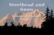 Steelhead and Snow