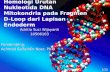 Homologi Urutan Nukleotida  DNA  Mitokondria pada Fragmen  D-Loop  dari Lapisan  Endoderm