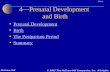 4—Prenatal Development  and Birth