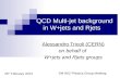 QCD Multi-jet background  in  W+jets  and  Rjets