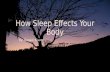 How Sleep Effects Your Body