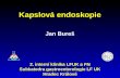 Kapslová endoskopie Jan Bureš