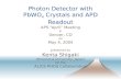 Photon Detector with PbWO 4  Crystals and APD Readout