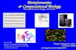 Bioinformatics & Computational Biology Podcast for  Frontiers in Biology  - ISU 7/13/06
