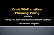 Crisis  SiteTransition Planning: Part 4