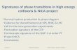 Signatures of phase transitions in high energy collisions & NICA project
