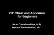 CT Chest and Abdomen  for Beginners