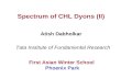 Spectrum of CHL Dyons (II)